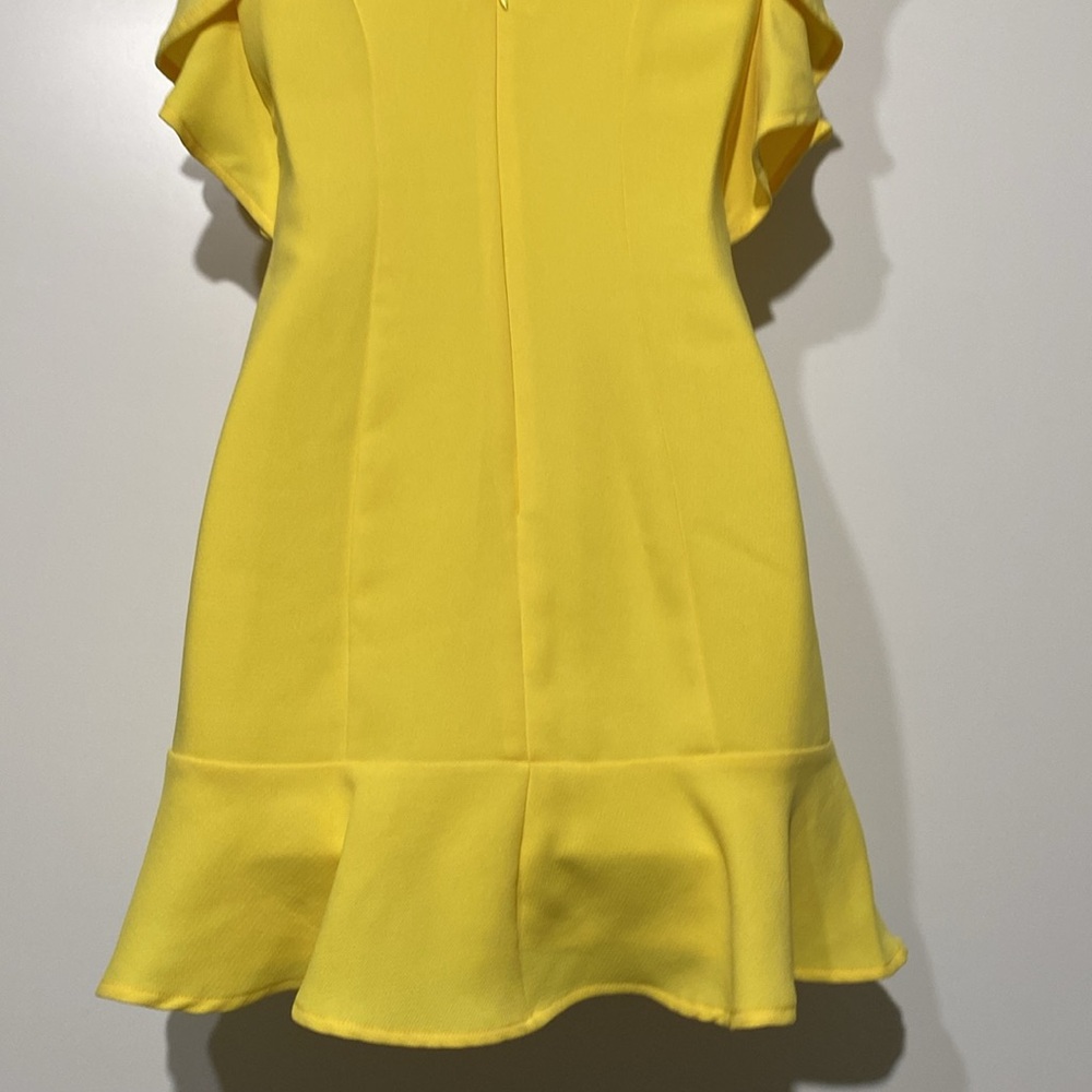 BCBGeneration Ruffle Mini Dress - Picture 8 of 14